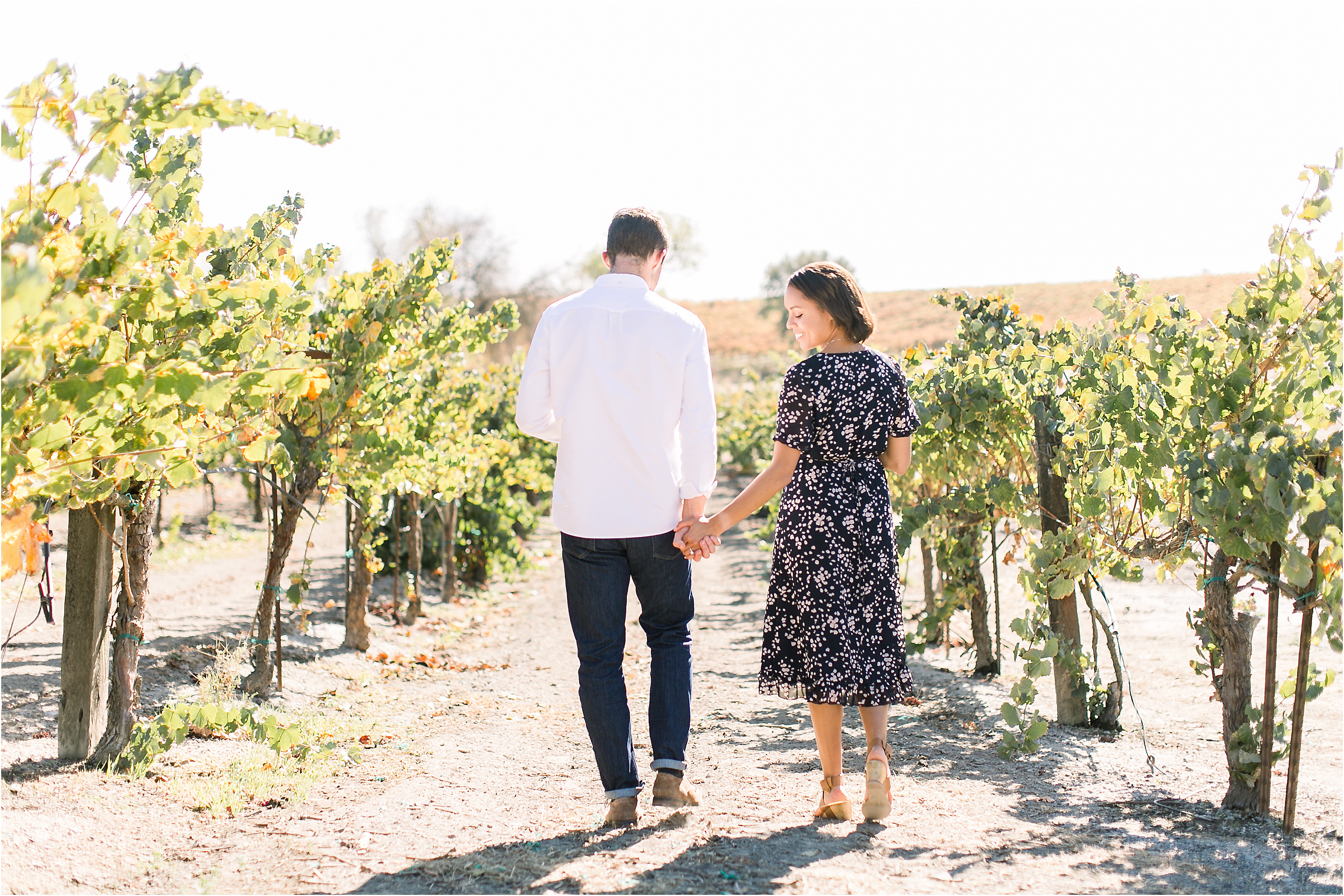 copain winery proposal and engagement amy jordan photography